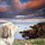 William Christopher Kee's profile image