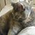Karen Kelly's profile image