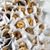 Tracy Hueth's profile image