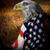 Michael P. Hosie's profile image