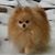 Marjorie Edmondson's profile image