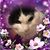 Margo Klein's profile image