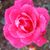 Barbara Neal Stewart's profile image