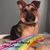 Deanna M Duke's profile image