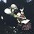 William Sizemore's profile image