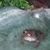 Jeanane Willette's profile image