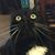 Crissy Knape's profile image