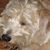 Sandy Kaiman's profile image