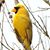 Martin Weaver's profile image