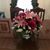 Diane Burks's profile image