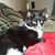 Nancy D Jeeninga's profile image