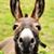 Alvin Weatherford's profile image