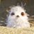 Doris Olsen's profile image