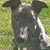 Melissa Schumacher's profile image