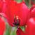 Karen Gale Booze's profile image