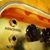 Chris Meixelsperger's profile image