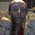 Brian Hardin's profile image