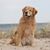Lyn Skeuse's profile image