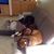 Fietta Jones's profile image