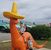 Melissa Hofmann's profile image