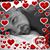 Eric Sykes's profile image