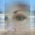 KC Camargo's profile image