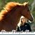 Christi Rains's profile image