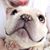 Greta Engle's profile image