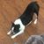 Robin Reedy's profile image