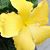 Margie Kain-Fleischman's profile image