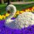Lucia Gonzalez's profile image