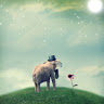Lovely Y.'s profile image