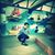 Veer Yadav's profile image