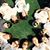 Jongwon S. Kim's profile image