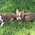 Elaine K. Wyan's profile image