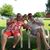 Mark Theis's profile image