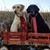 Taralee Mattox Haynes's profile image