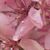 Jeff-Melinda Earl's profile image