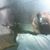 Geneva Satterfield Smith's profile image
