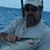 Bill Flood's profile image