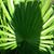 Janice McClure Schroeder's profile image