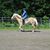 Christina Bamford's profile image