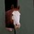Leigh Ann Jessup's profile image