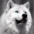 Sherry O'Neal's profile image