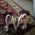 Patti Snodgrass's profile image