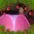 Shina Hudson's profile image