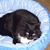 Deborah Davenport's profile image