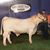 Benjamin Ferdinand Bengtson's profile image