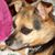 Barbara Freeman Bohannon's profile image