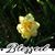 Cynthia Heery Austin's profile image